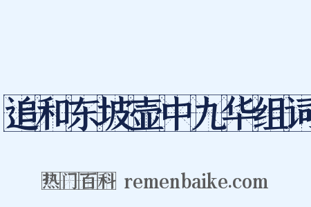 追和东坡壶中九华组词是什么意思的图片
